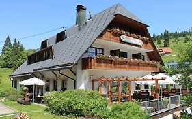 Hotel & Restaurant Gruener Baum - Die Gruene Oase Am Feldberg